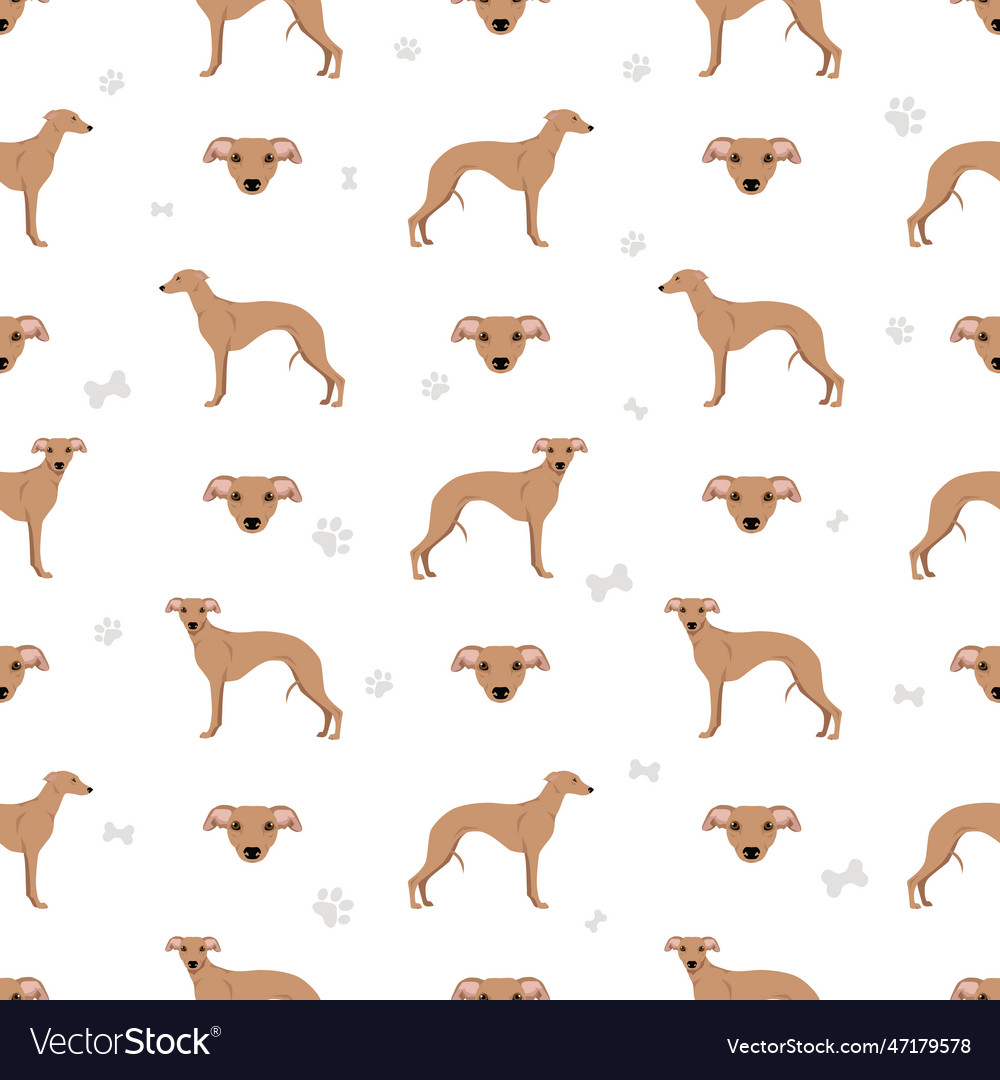 Whippet seamless pattern different poses coat