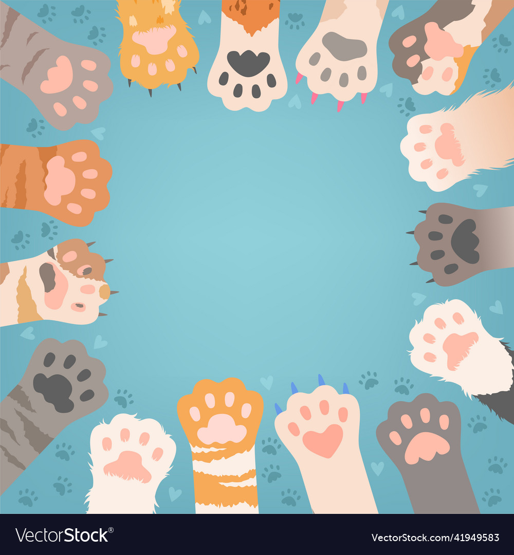 Cats paw background funny domestic kitten pets Vector Image