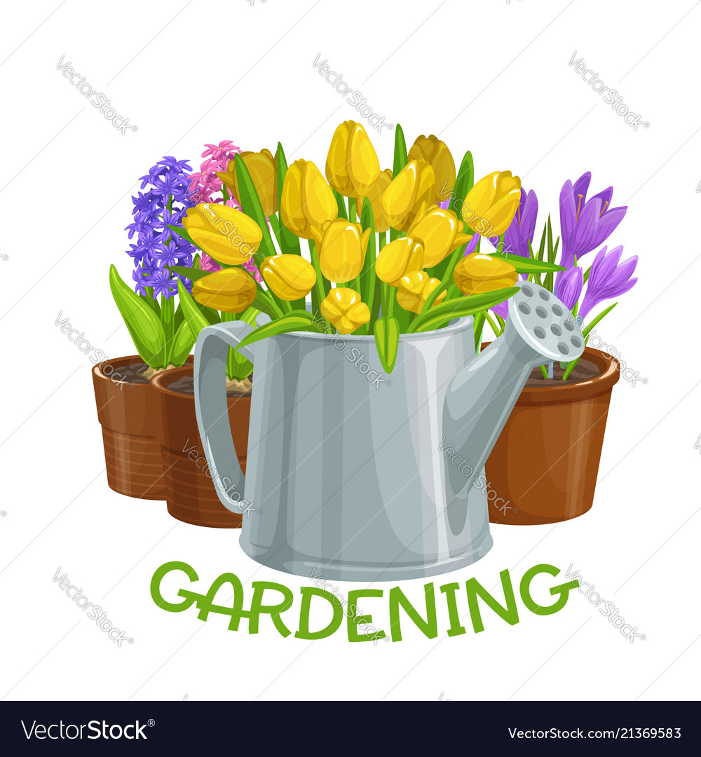 Garden Centre Vector Images 19