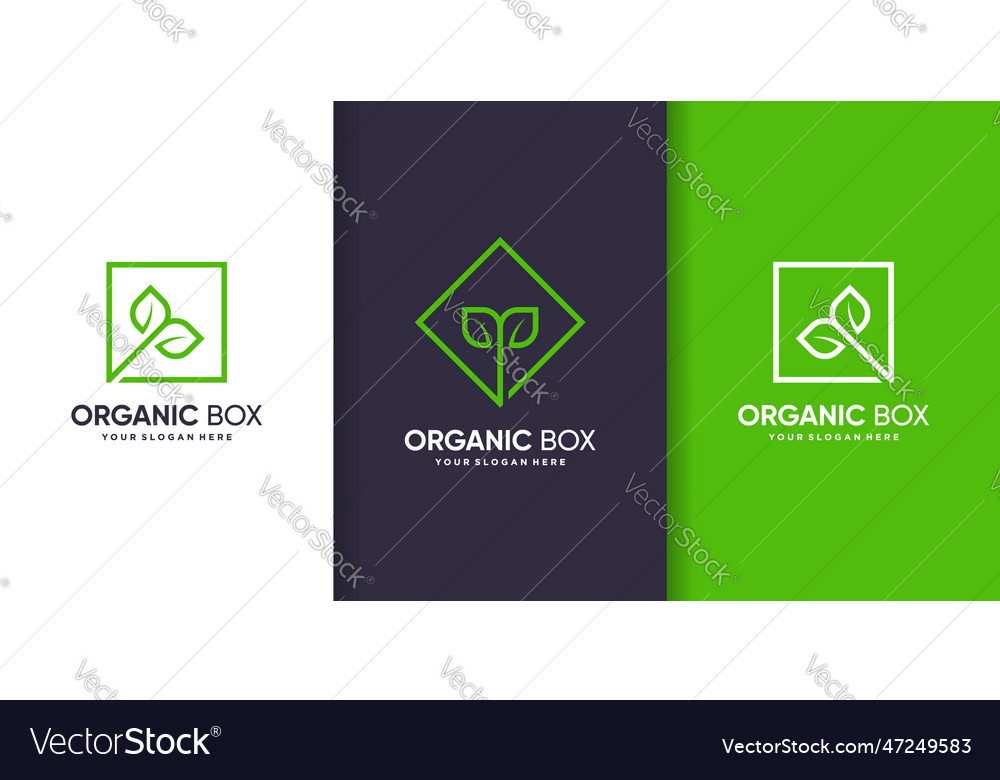 Organic box logo template with modern line art