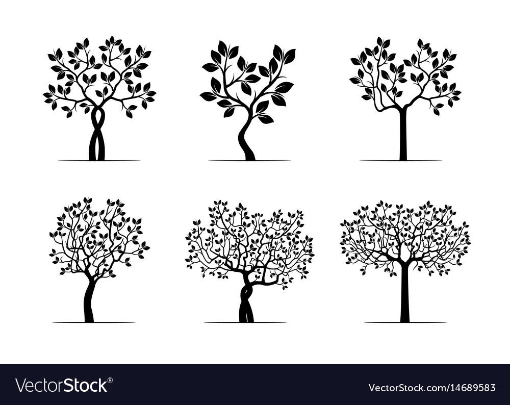 Set black trees with leafs Royalty Free Vector Image
