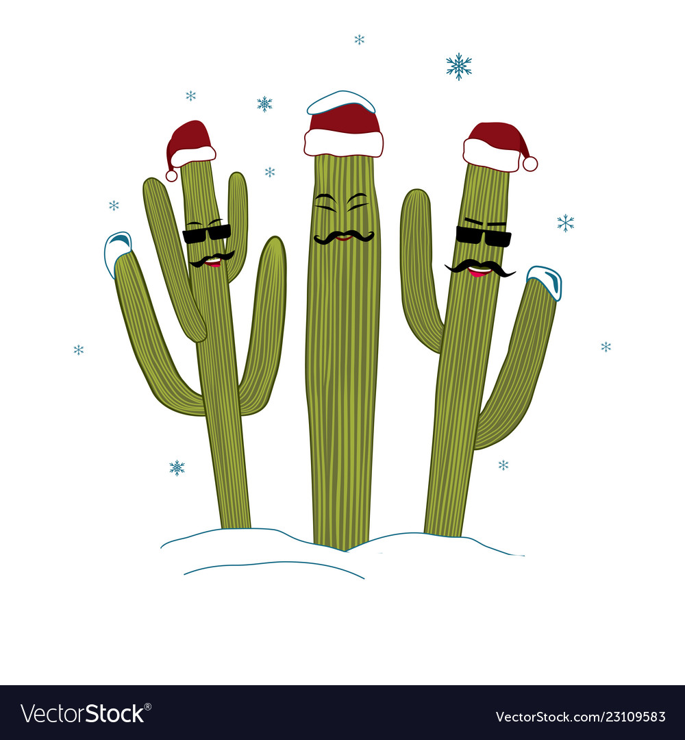 Three christmas saguaro cactuses winter Royalty Free Vector