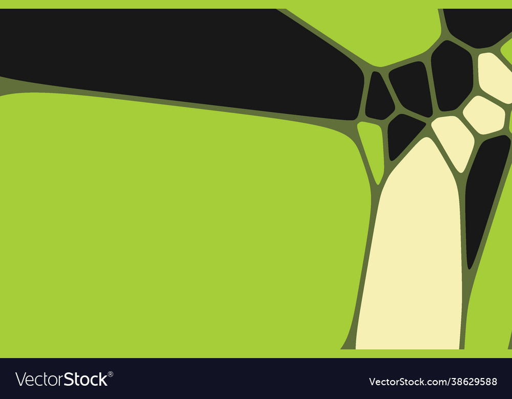 Decorative voronoi architecture pattern vector image Decorative voronoi architecture pattern