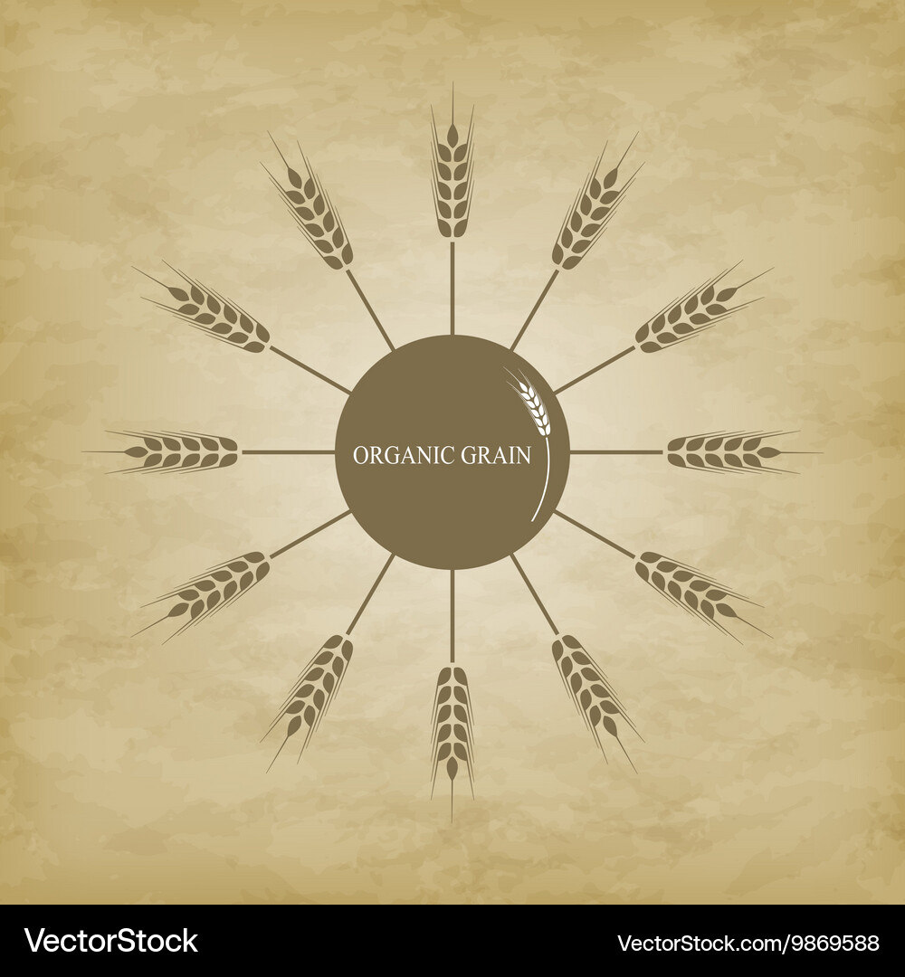 Icon ears wheat Royalty Free Vector Image - VectorStock