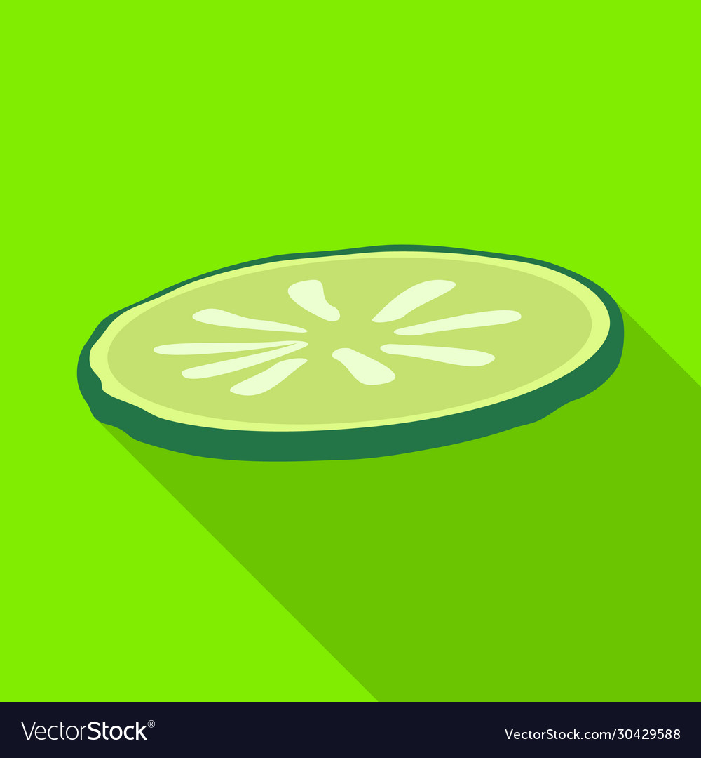 Isolated object cucumber and slice icon web