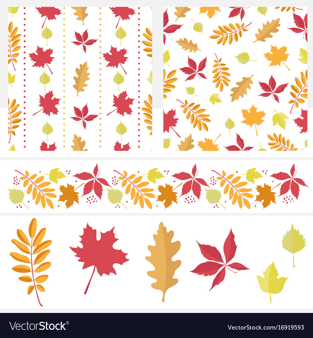 Autumn set of seamless patterns border and leaves