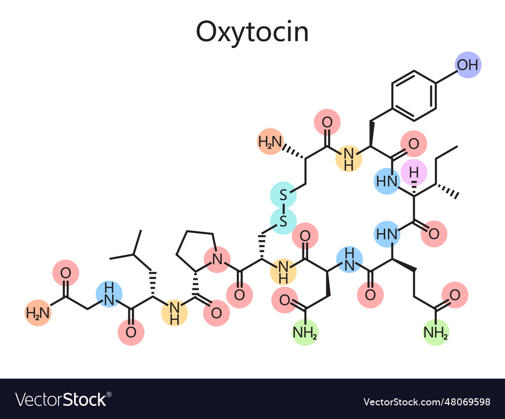 Chemical formula oxytocin diagram medical science Vector Image