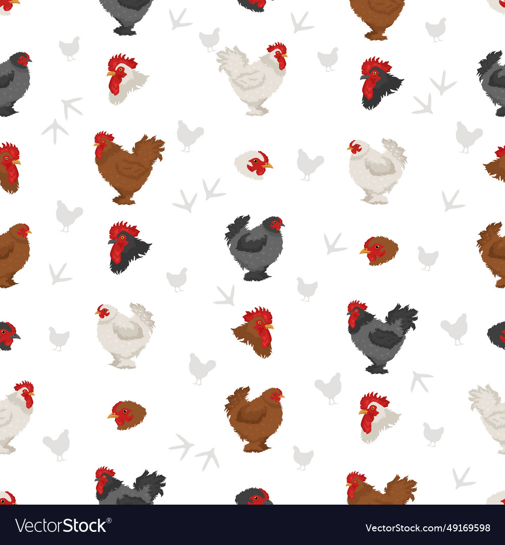 Frizzle chicken breeds seamless pattern poultry Vector Image