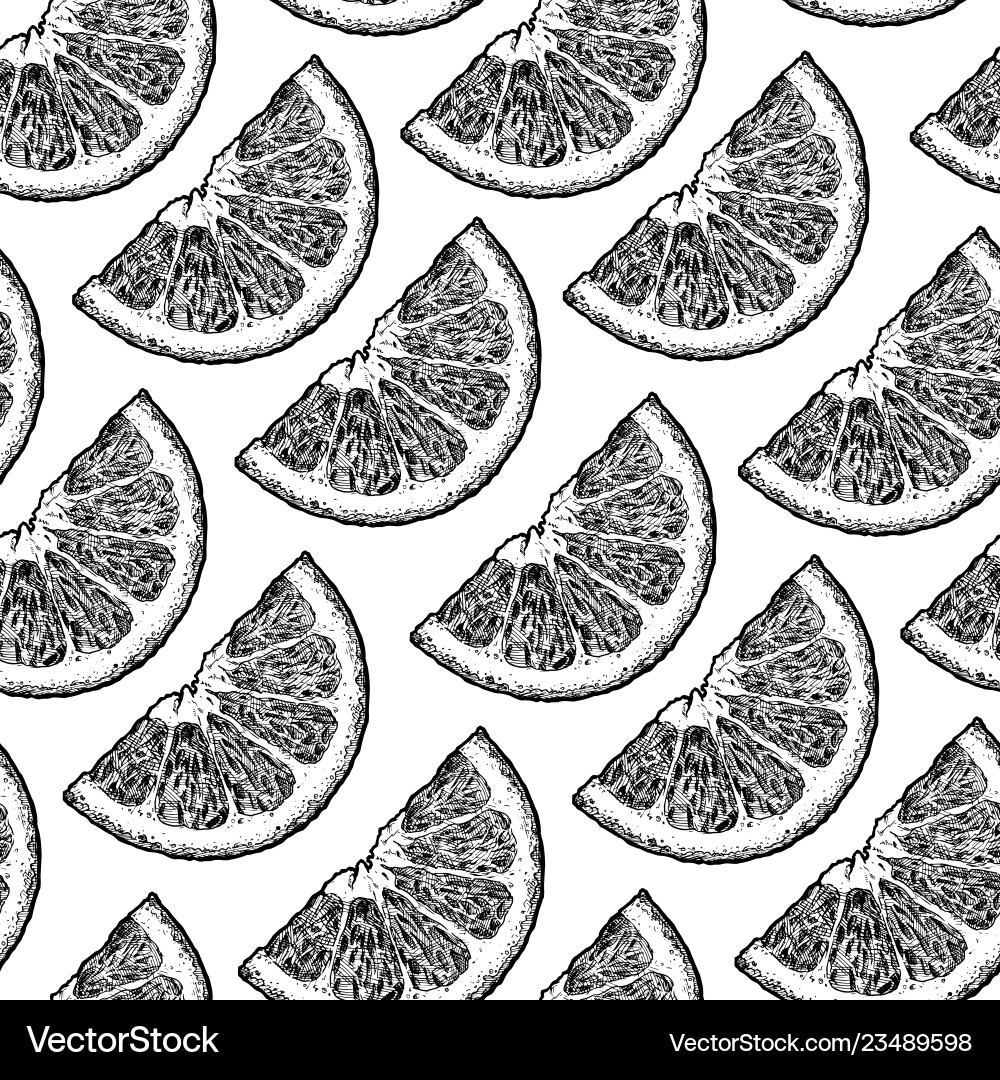 Pattern with citrus Royalty Free Vector Image - VectorStock