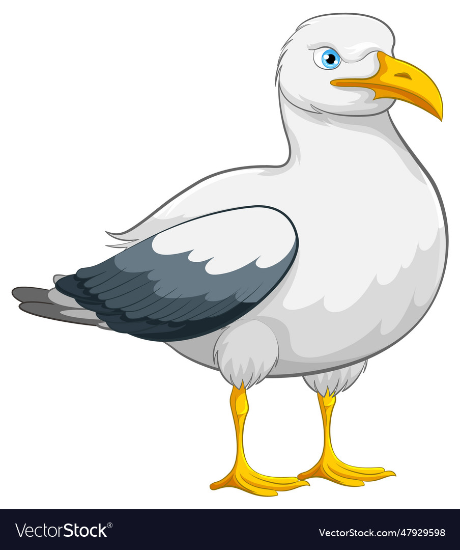 Seagull standing isolated Royalty Free Vector Image