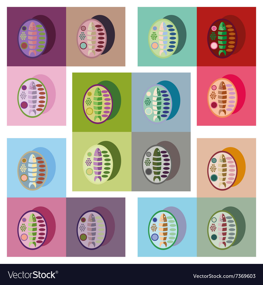 Modern flat icons collection fish on plate