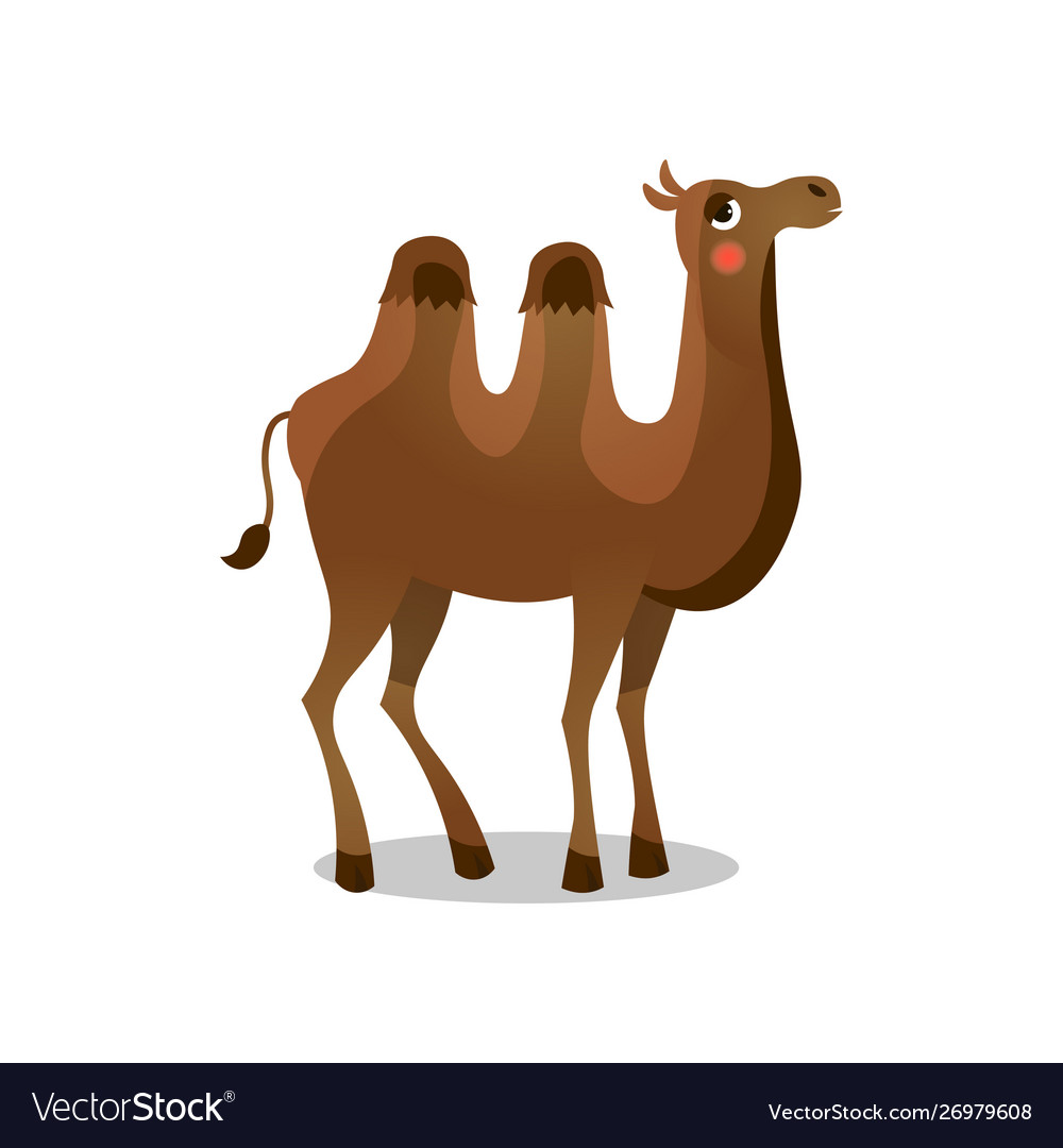 Bactrian Camel Raster In Flat Royalty Free Vector Image Bactrian Camel Raster In Flat Royalty Free Vector Image