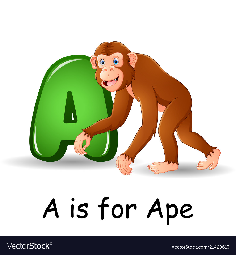 Animals alphabet a is for ape