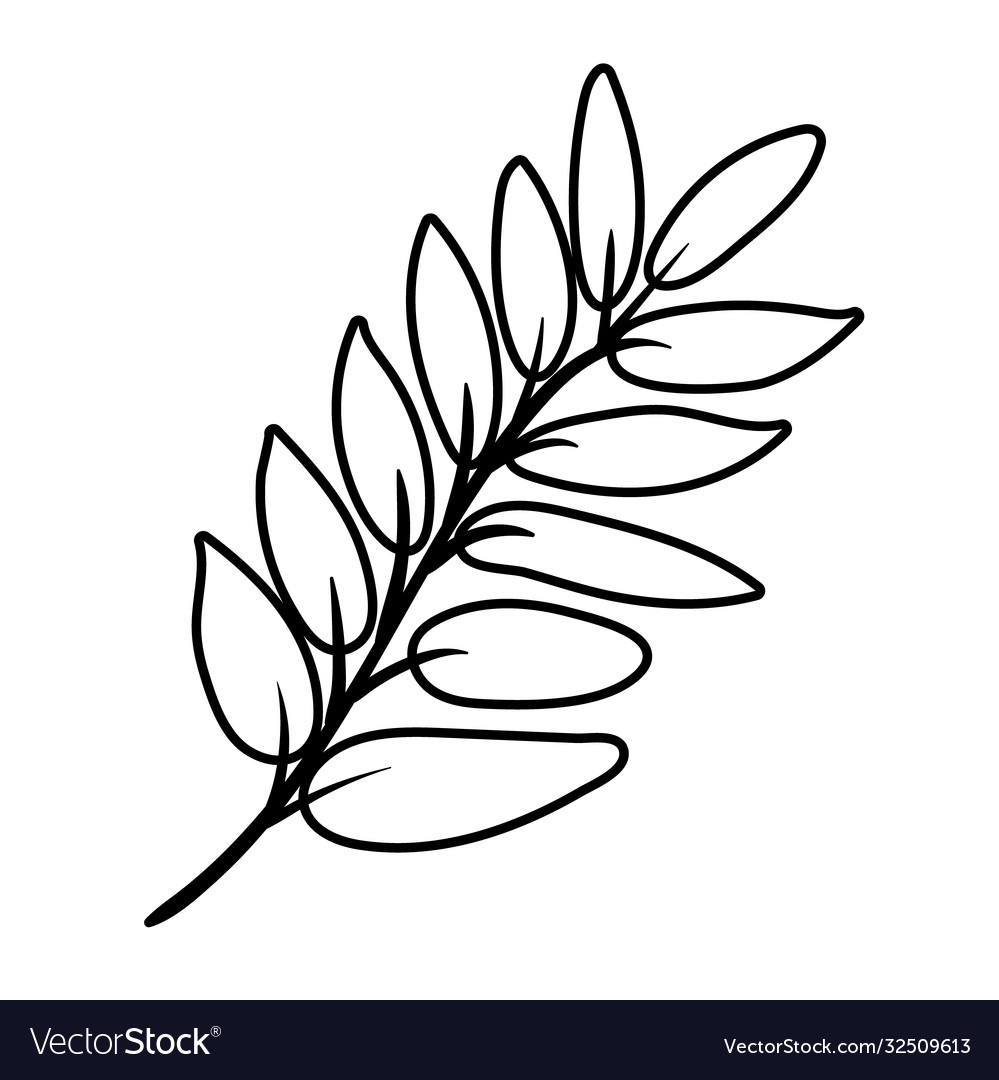 Branch with leafs botanical line style icon