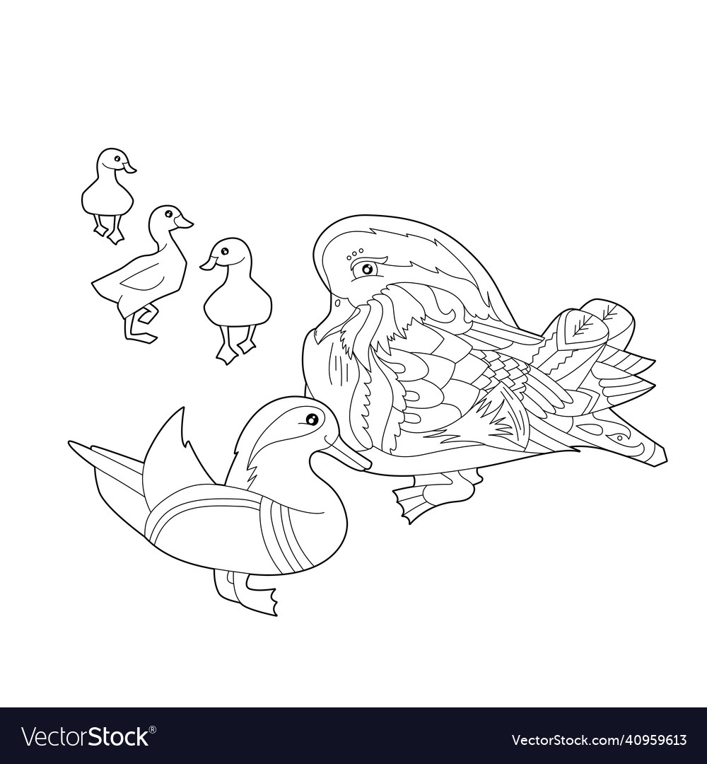 Contour linear for coloring book with two pretty