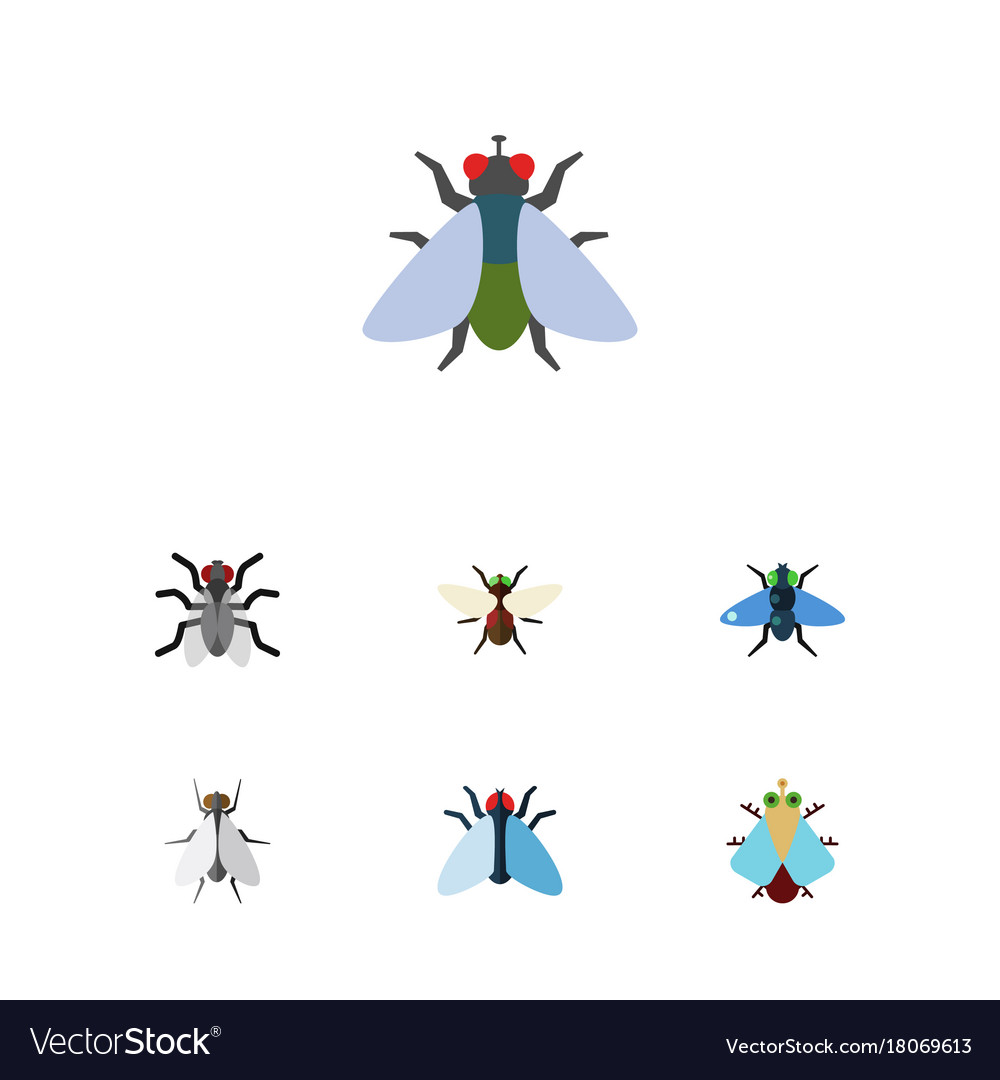 Flat icon fly set of tiny dung and other