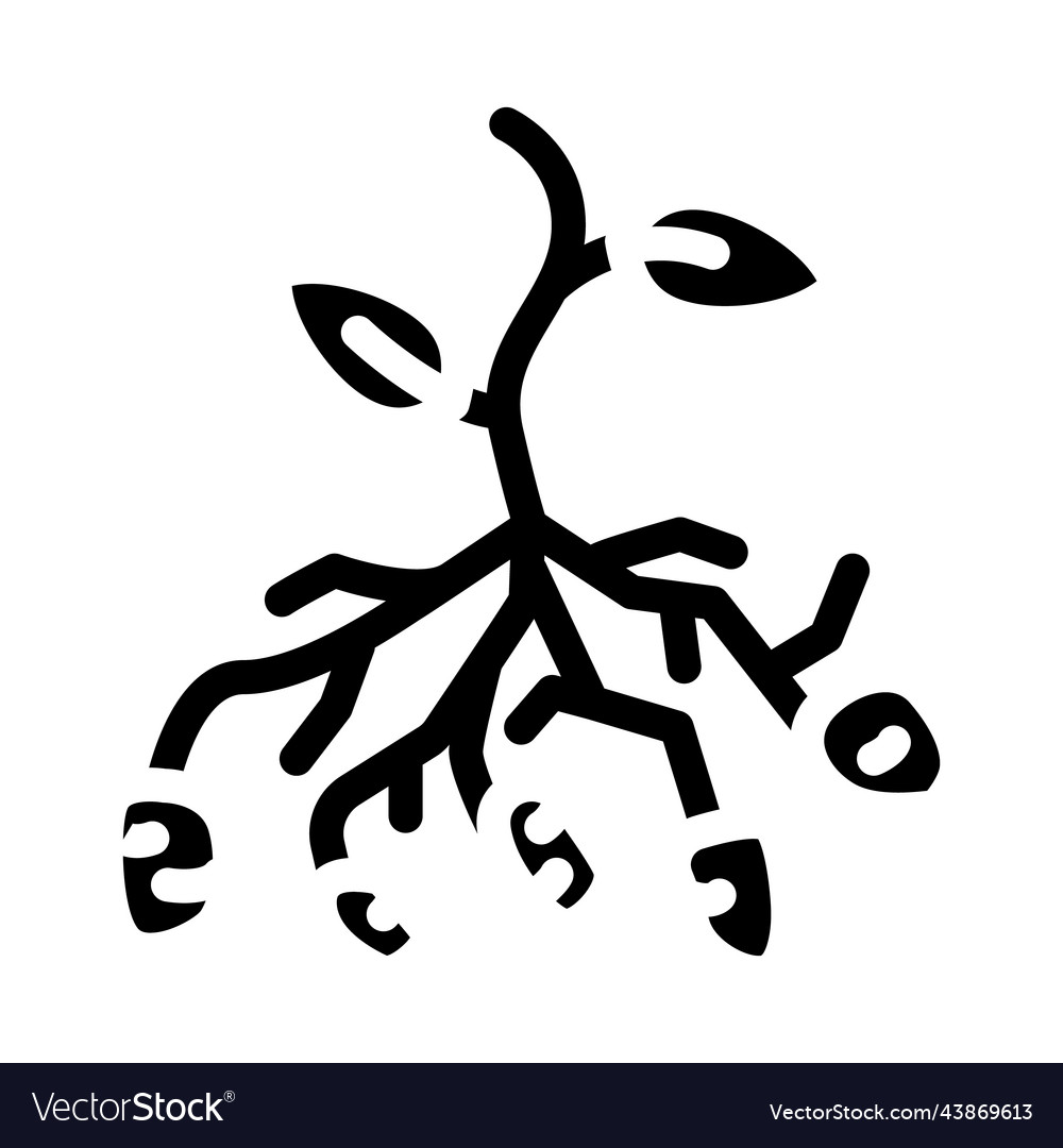 Potato Bush Plant Glyph Icon Royalty Free Vector Image 7441