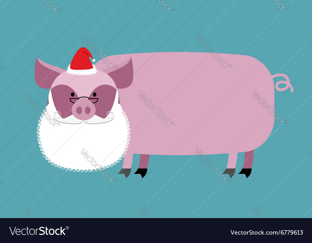 Santa claus pig farm animal with beard Royalty Free Vector