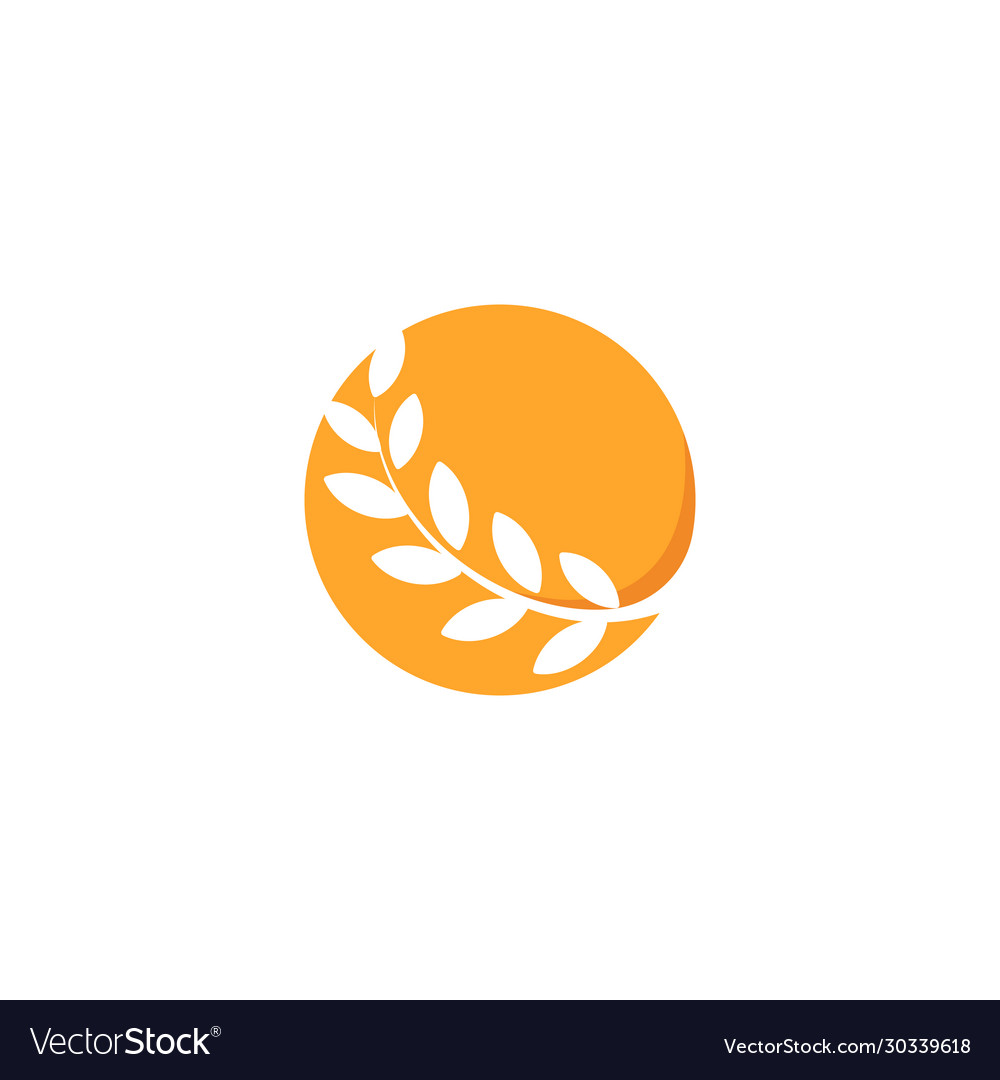 Abstract circle orange color logo branch