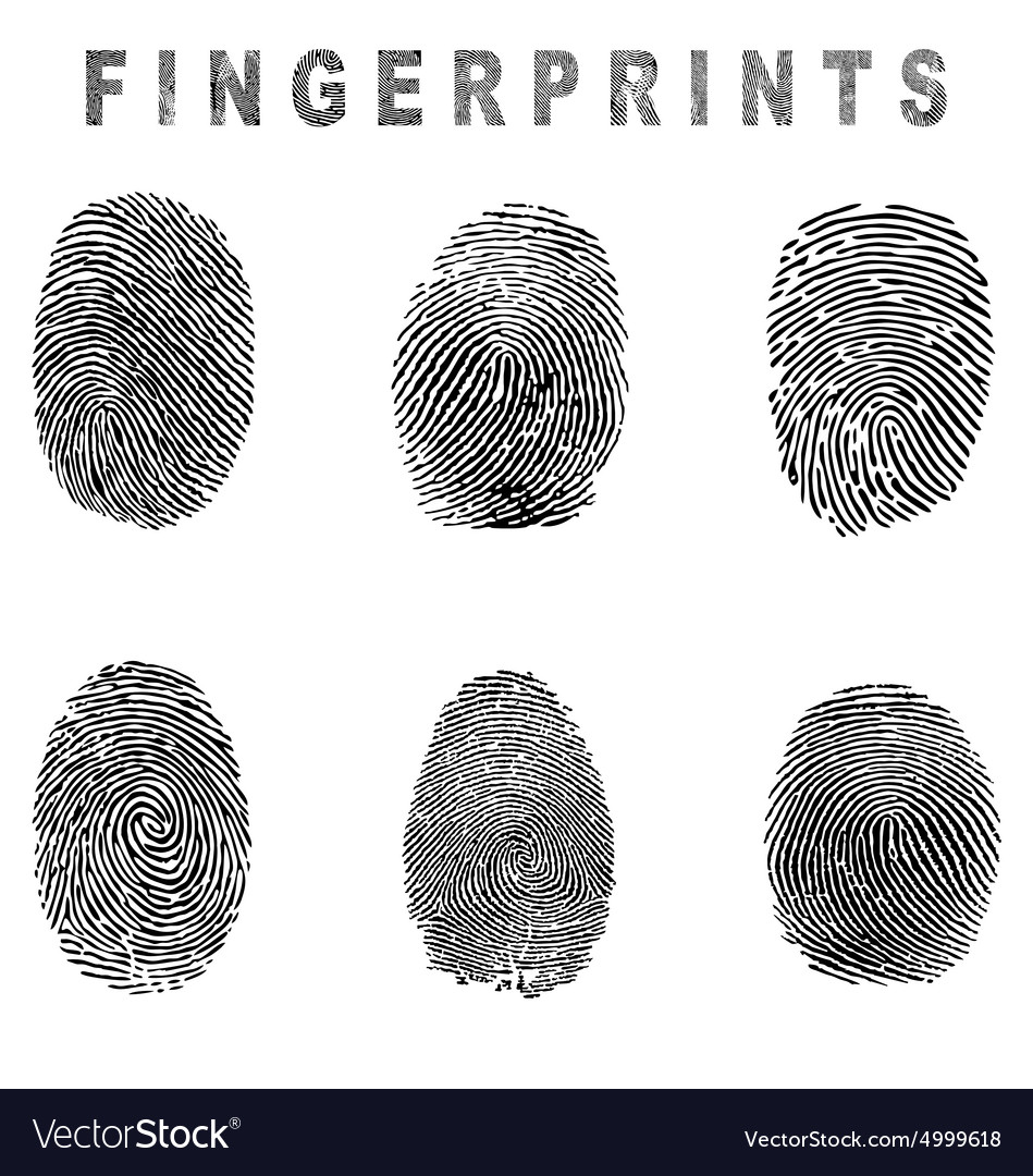 Fingerprints Royalty Free Vector Image - VectorStock