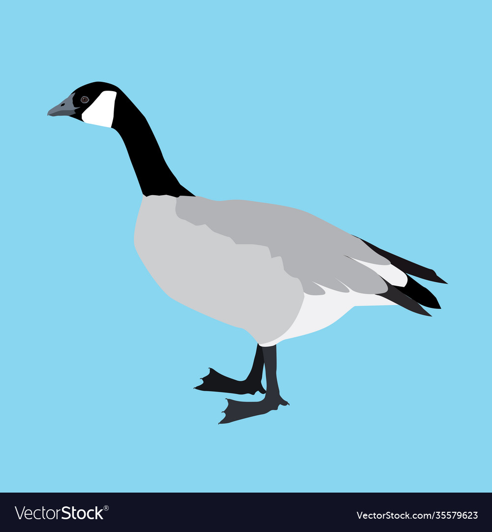 canada goose instagram vector