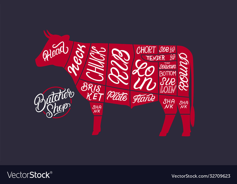 Cut beef set Royalty Free Vector Image - VectorStock