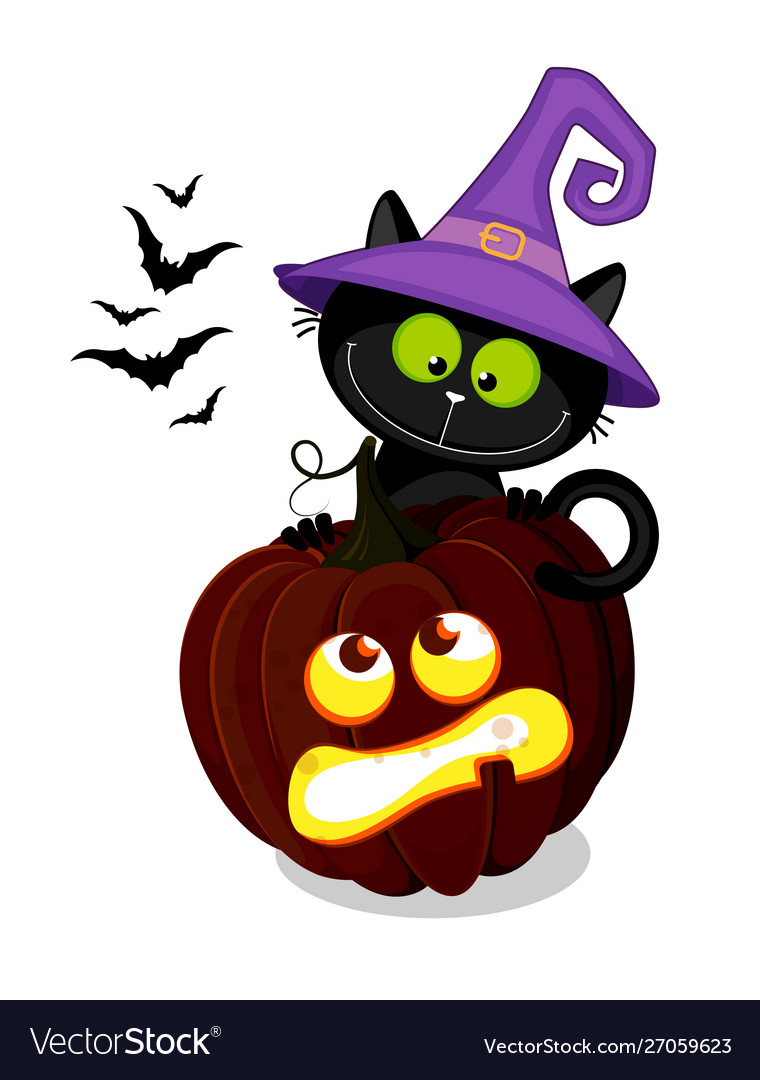 Cute black cat in a witch hat behind halloween