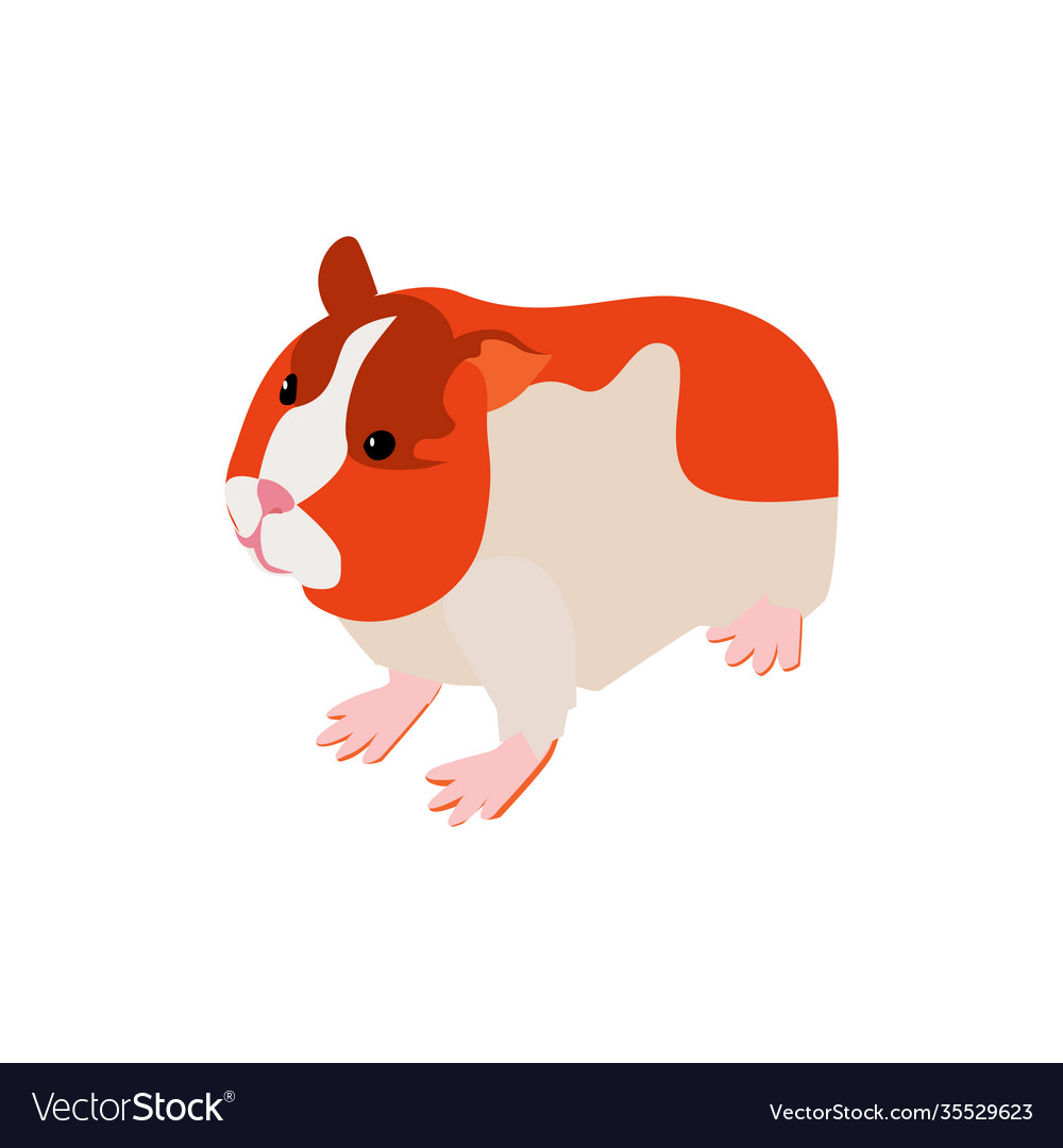 Hamster pet isometric composition Royalty Free Vector Image