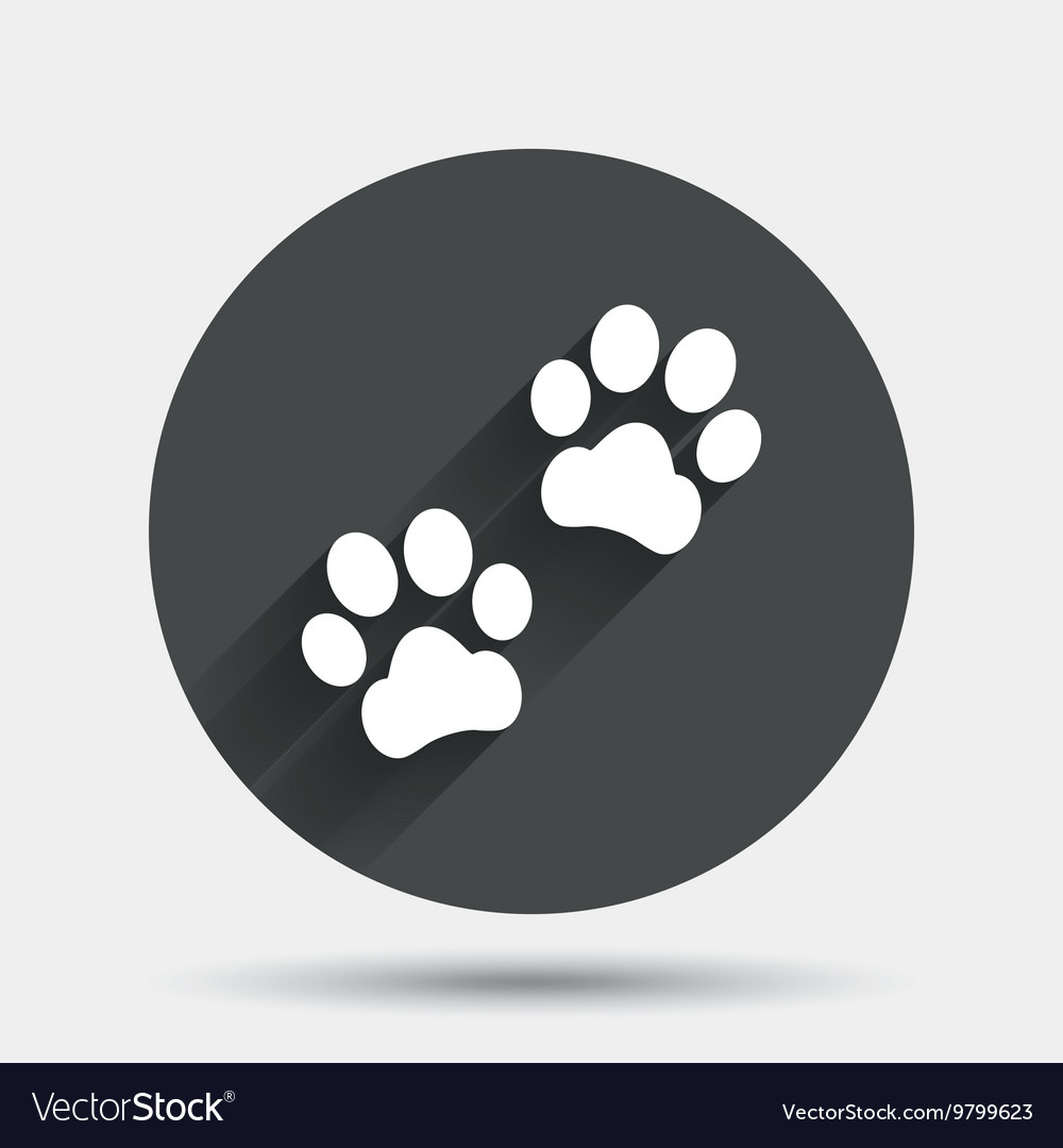 Paw Print Icon - Footstep Symbol