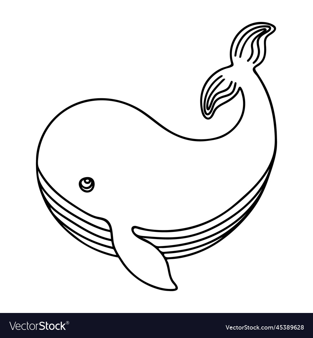 Doodle of cute whale on white background Vector Image