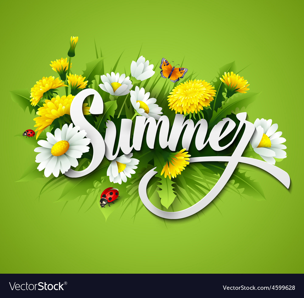 Fresh summer background with grass dandelions Vector Image