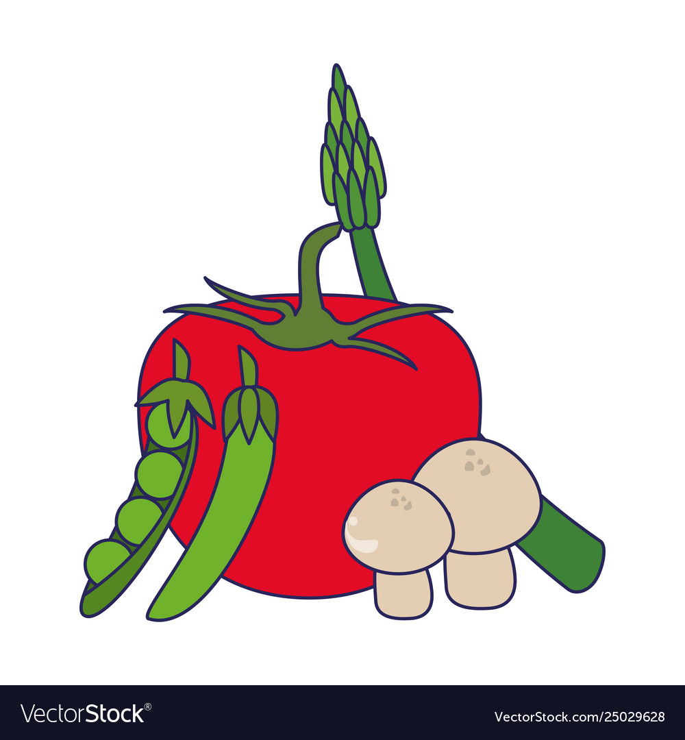 Premium Vector  Fresh vegetables cartoon