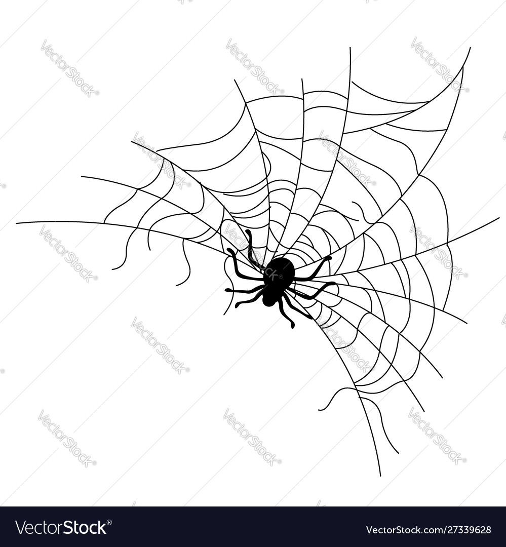 Set spider web different shapes with black vector image Set spider web different shapes with black