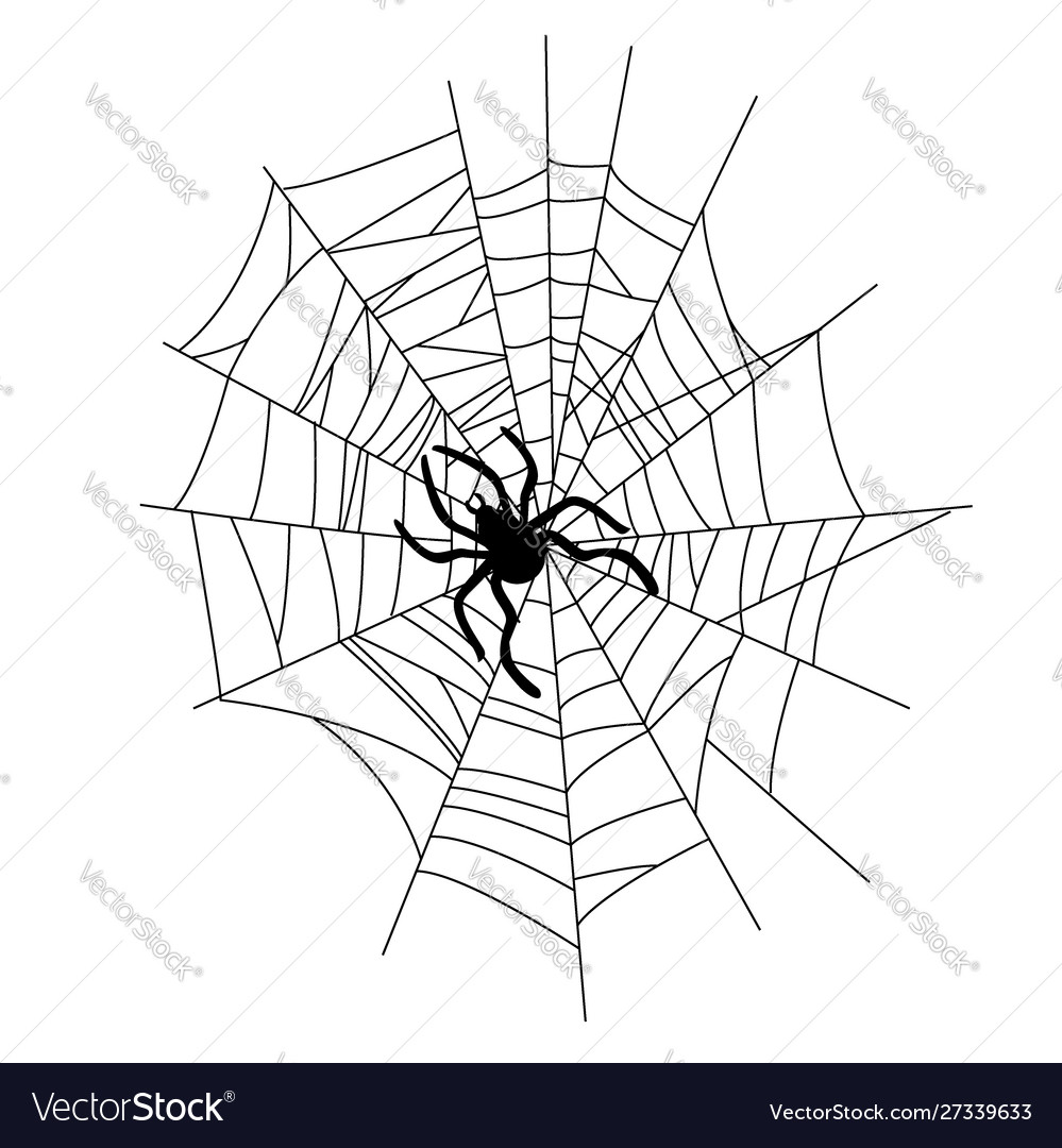 Set spider web different shapes with black