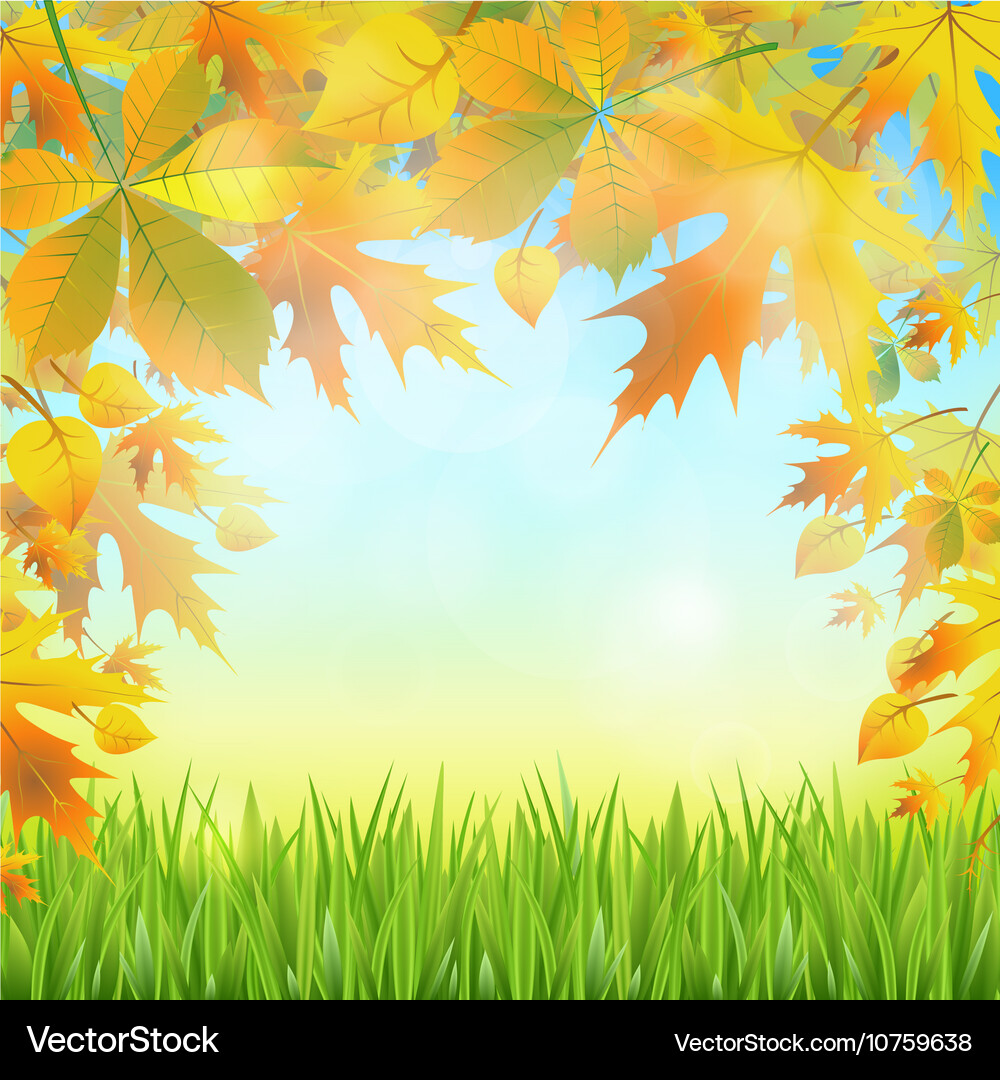 Autumn leaves on the abstract background Vector Image
