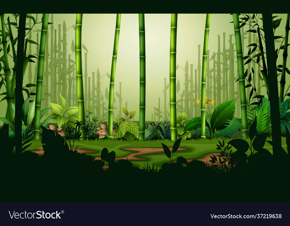 Bamboo forest landscape background Royalty Free Vector Image