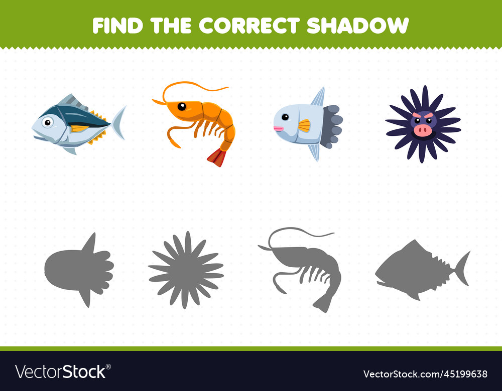 Education game for children find the correct Vector Image