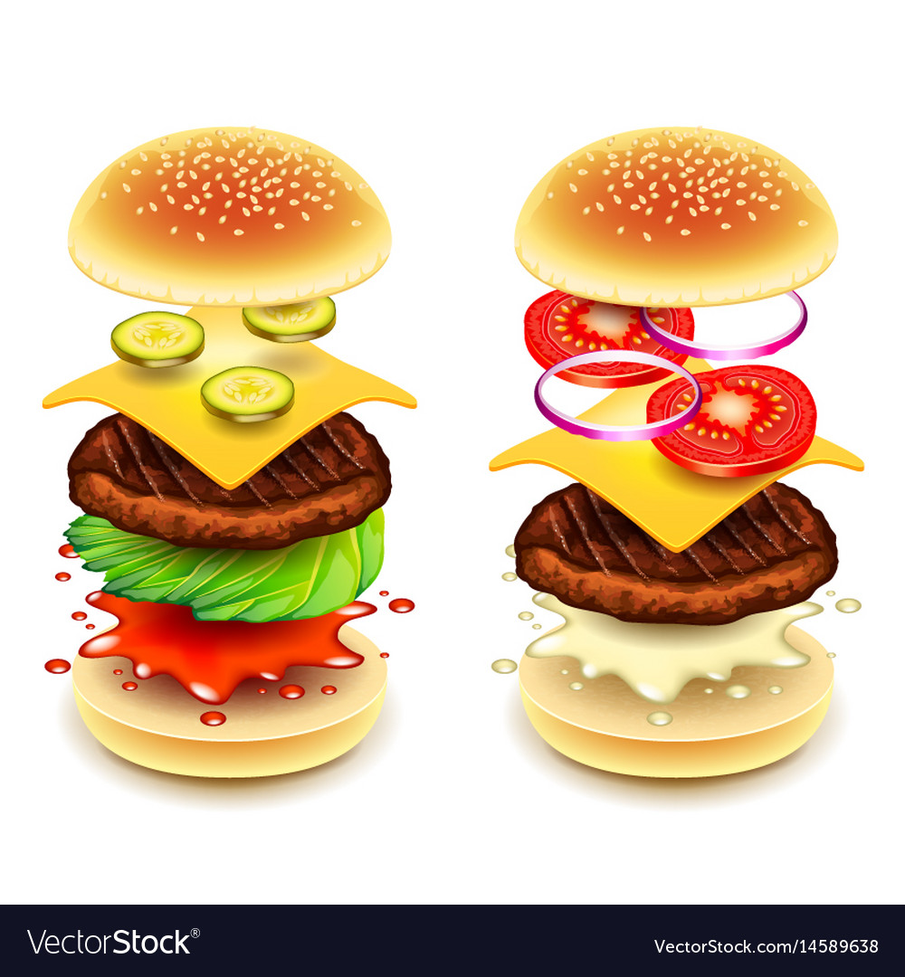 Sandwich burger layers isolated on white Vector Image