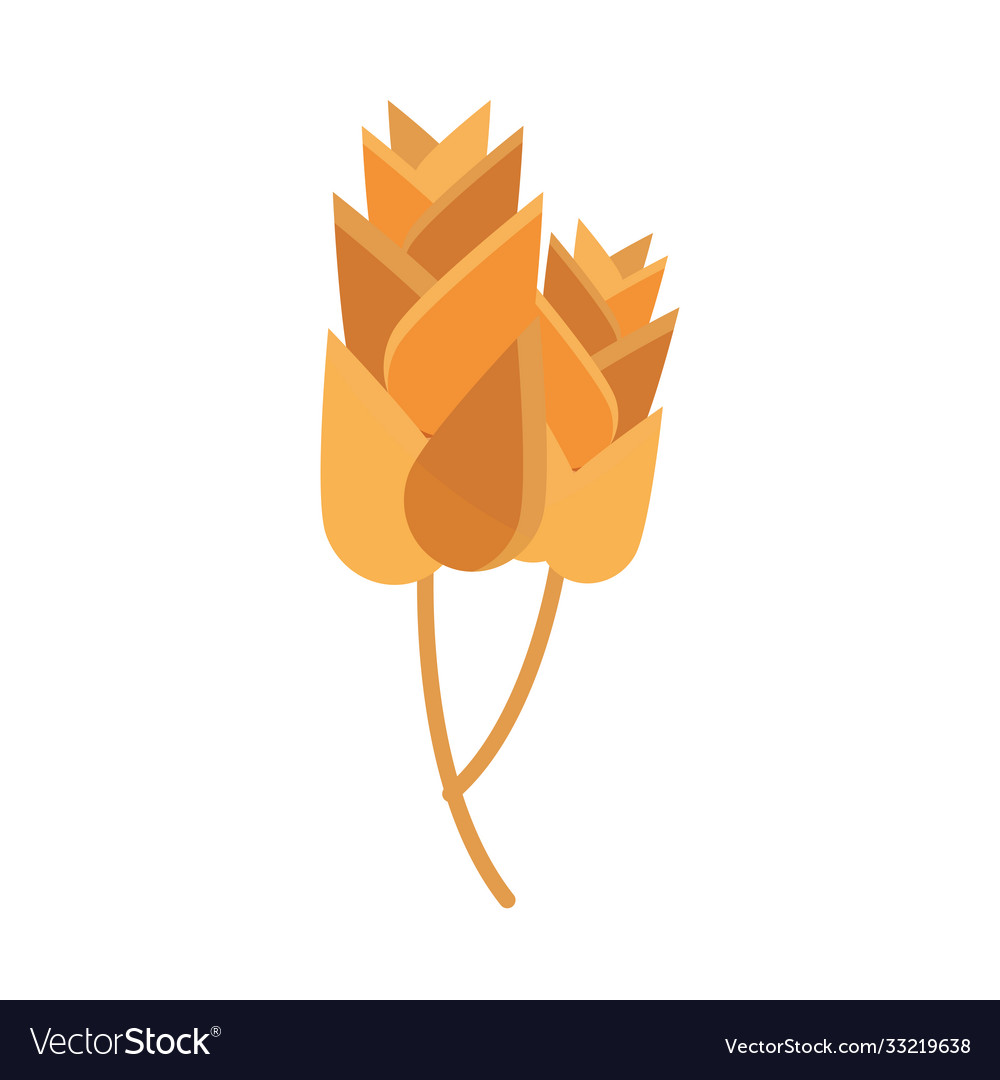 Spikelets Wheat Bakery Flat Icon Design Royalty Free Vector