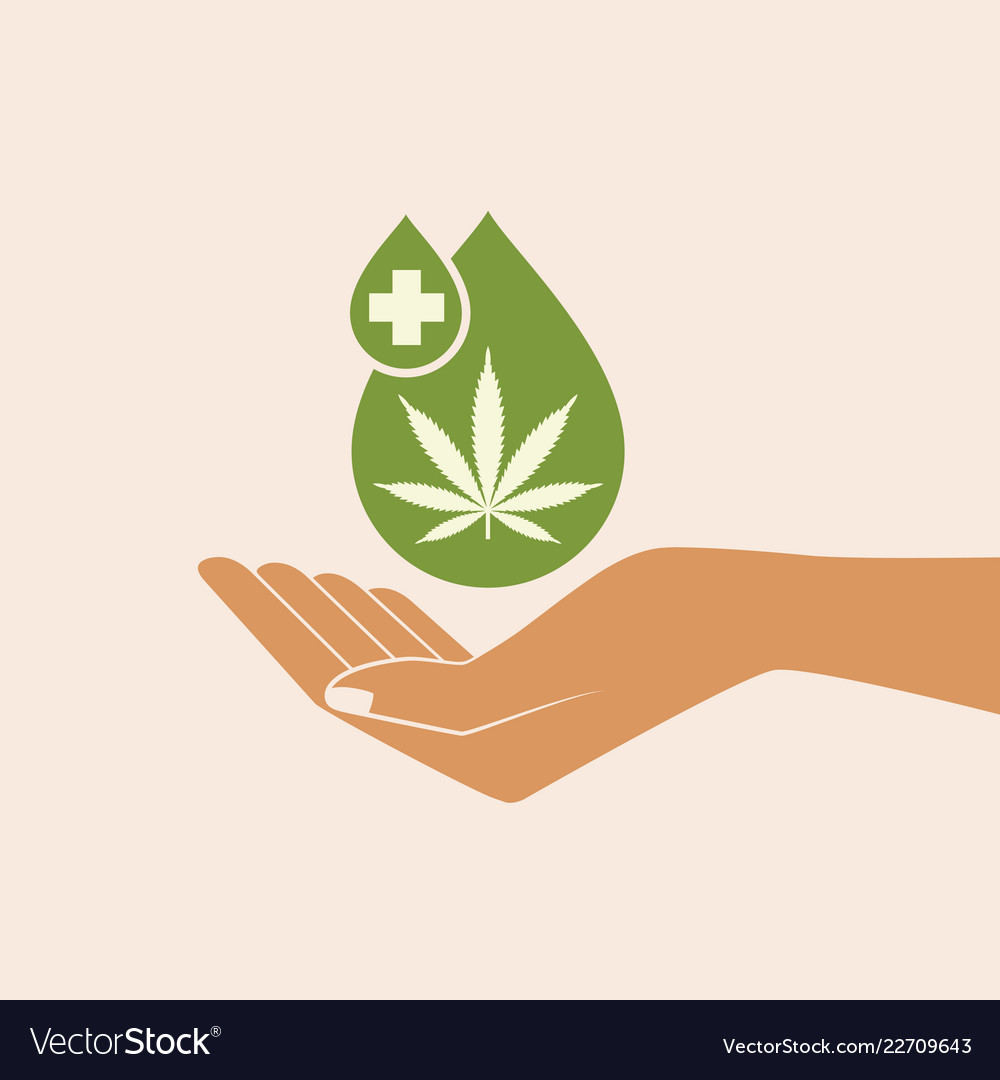 Hand holding oil drop with a marijuana leaf vector image Hand holding oil drop with a marijuana leaf
