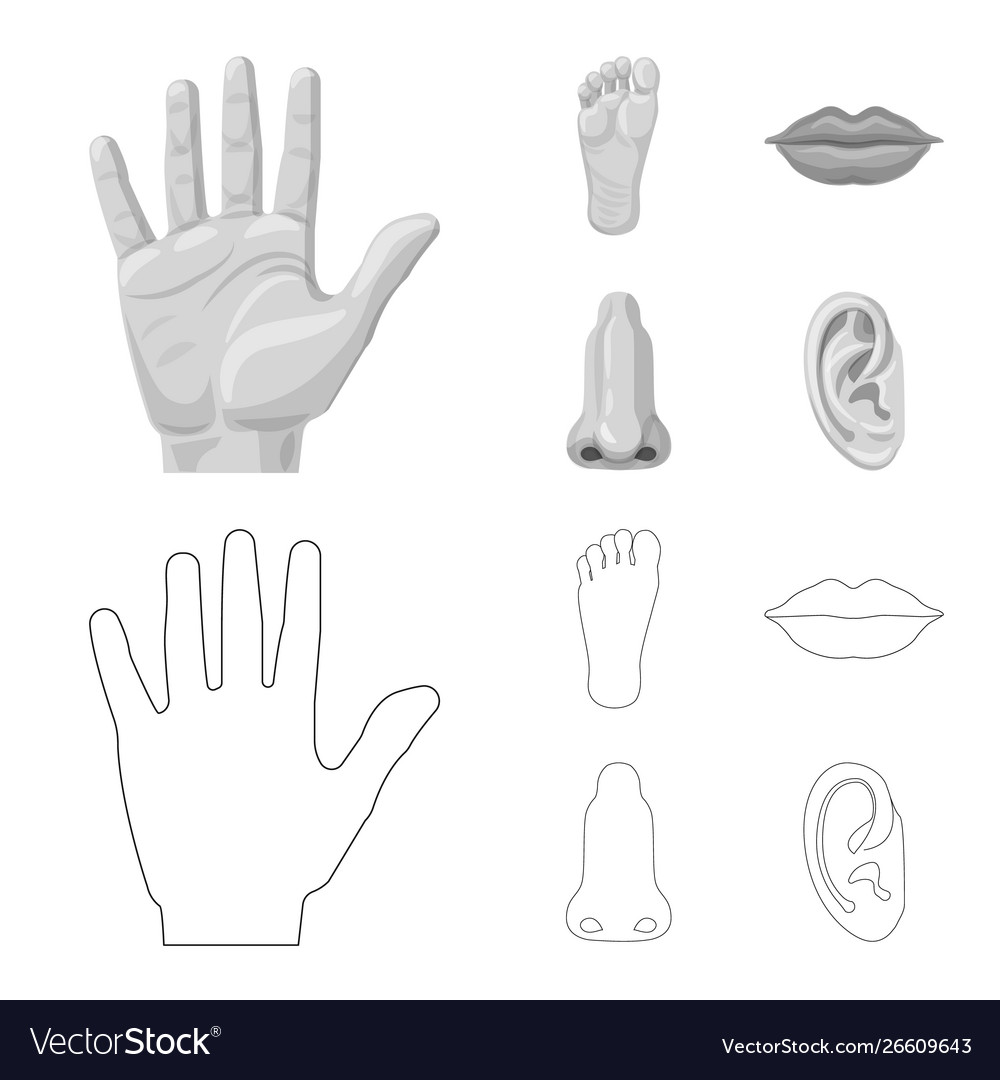 Isolated object human and part sign set