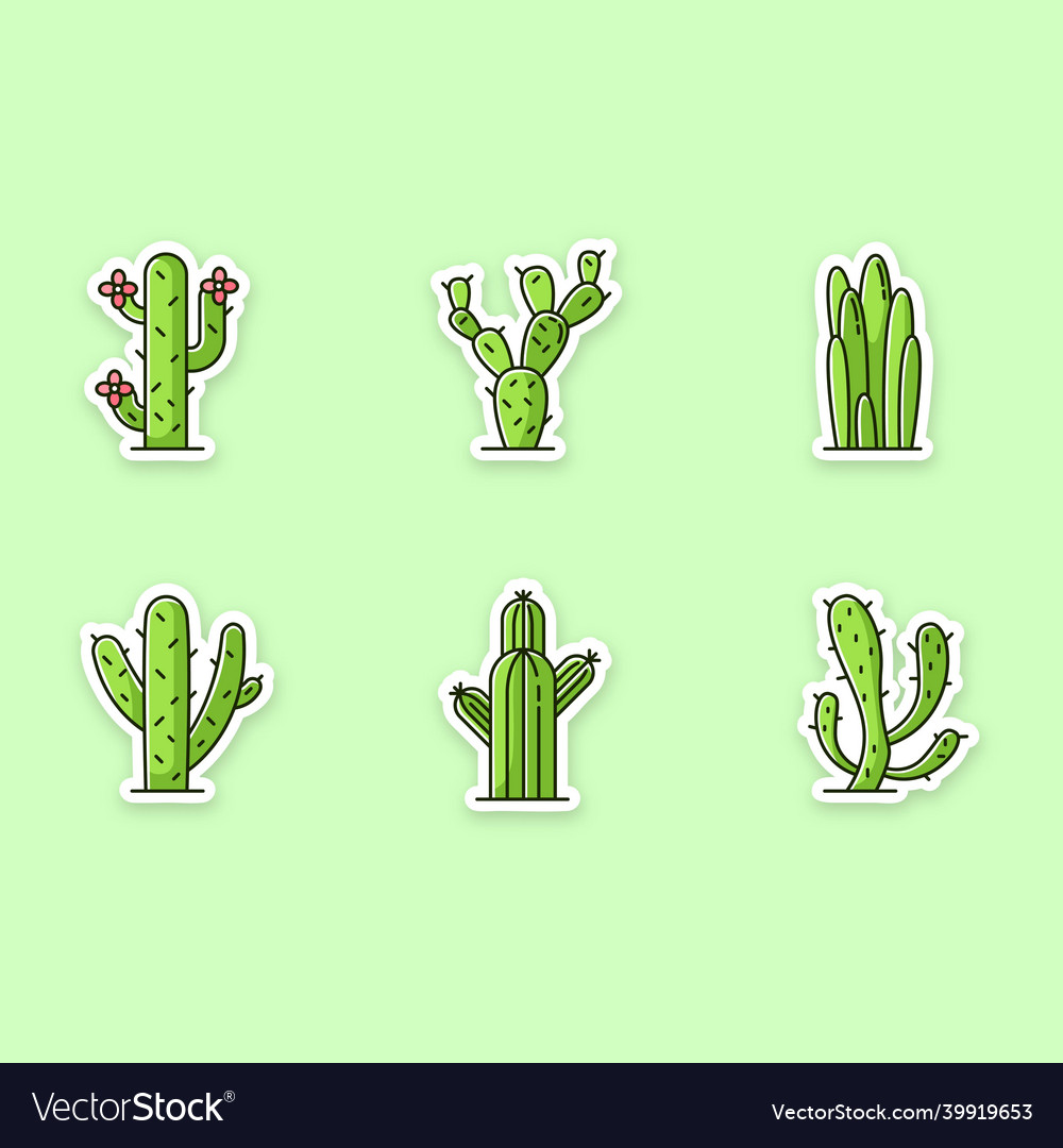 Cactuses printable patches american desert plants