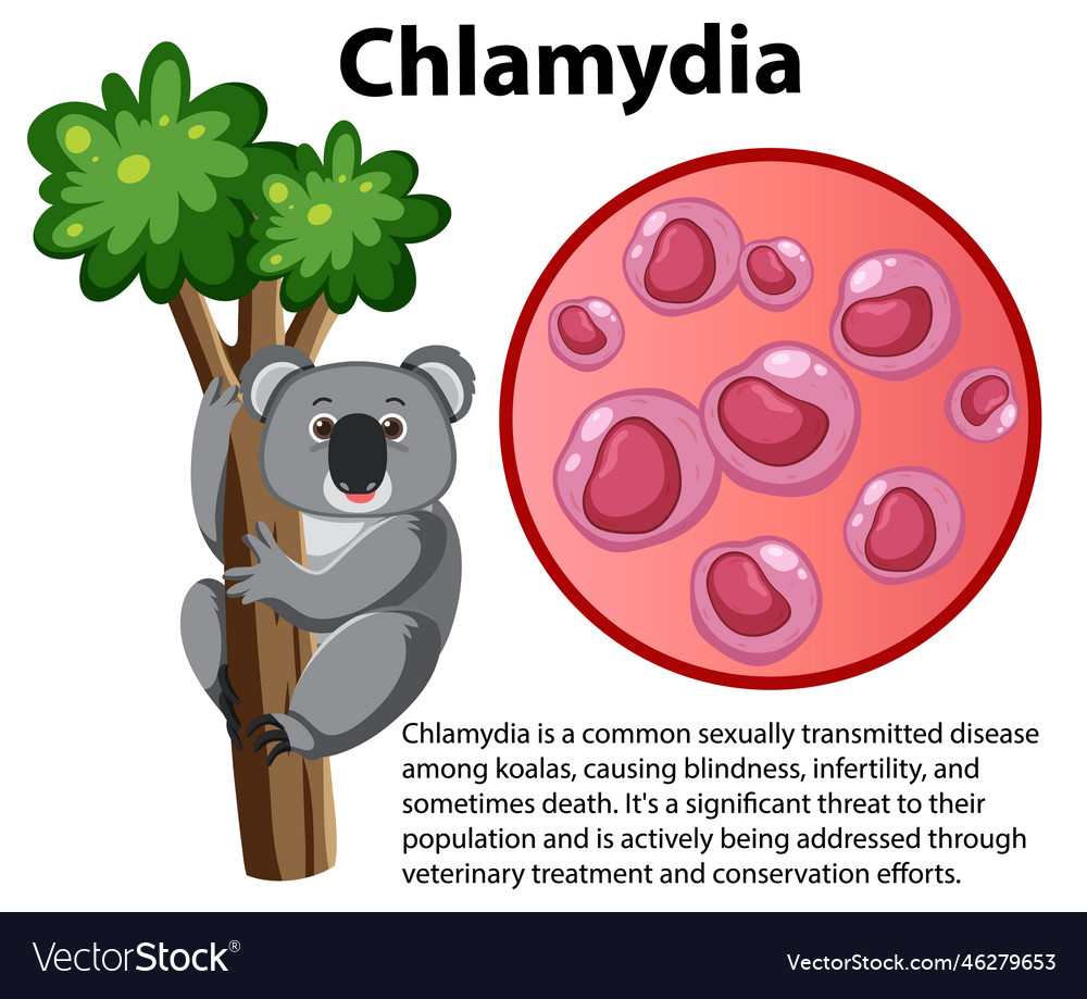 Chlamydia trachomatis with explanation