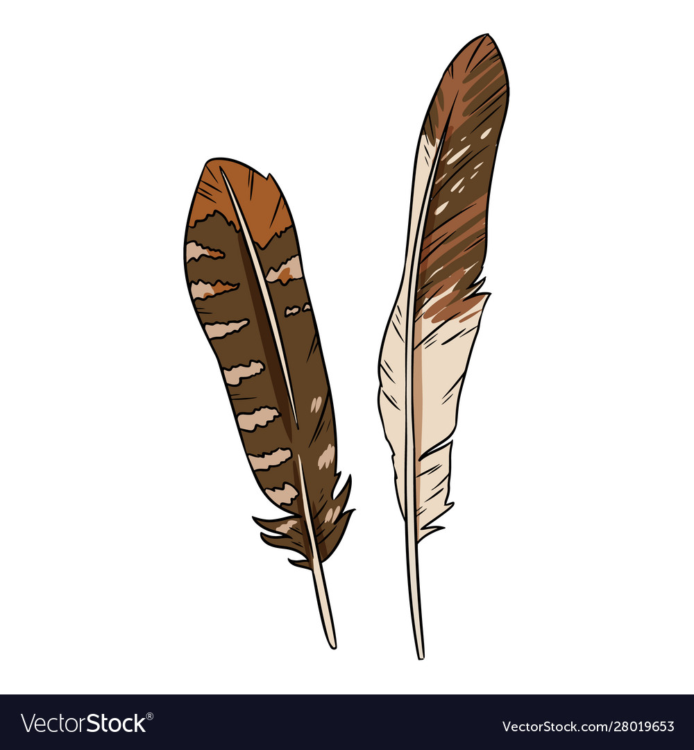 Cute cartoon feathers doodle image media Vector Image