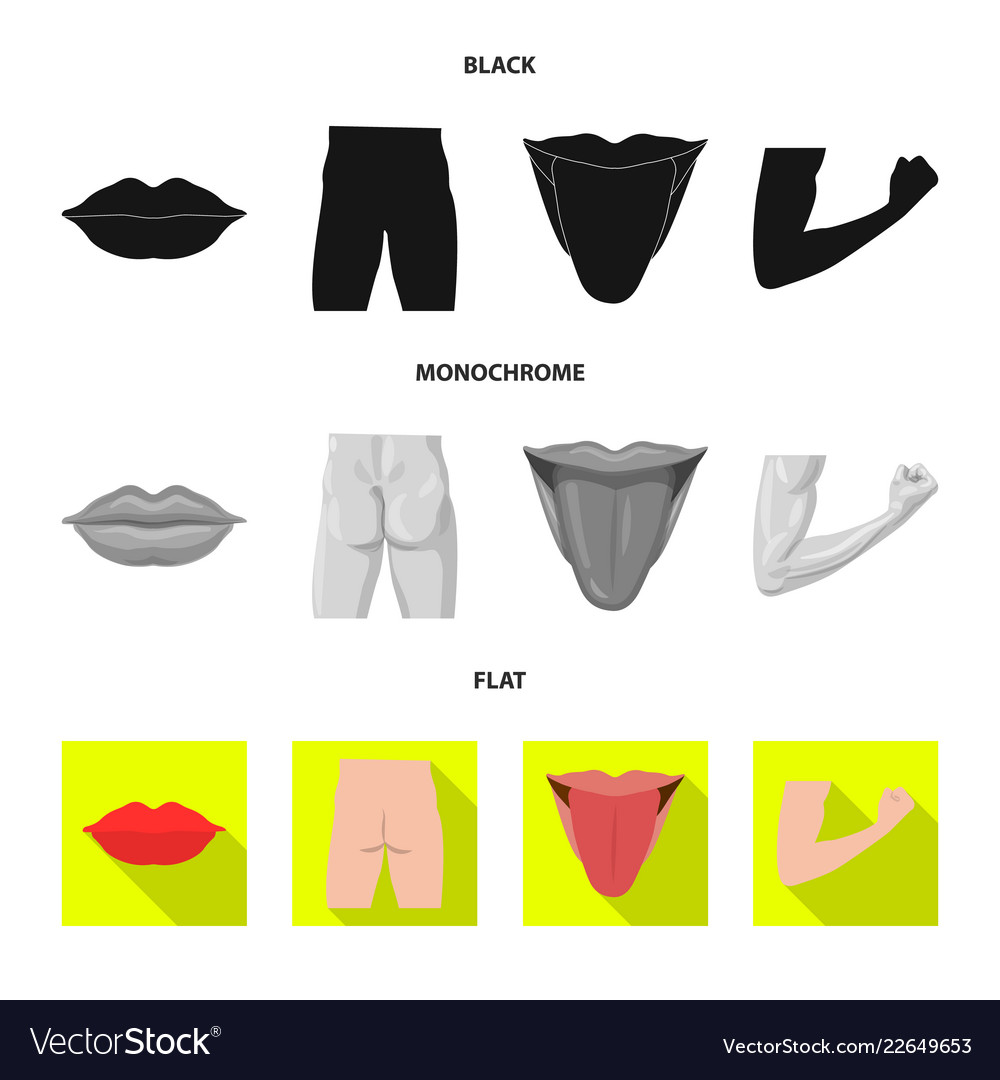 Isolated object of human and part icon collection vector image Isolated object of human and part icon collection