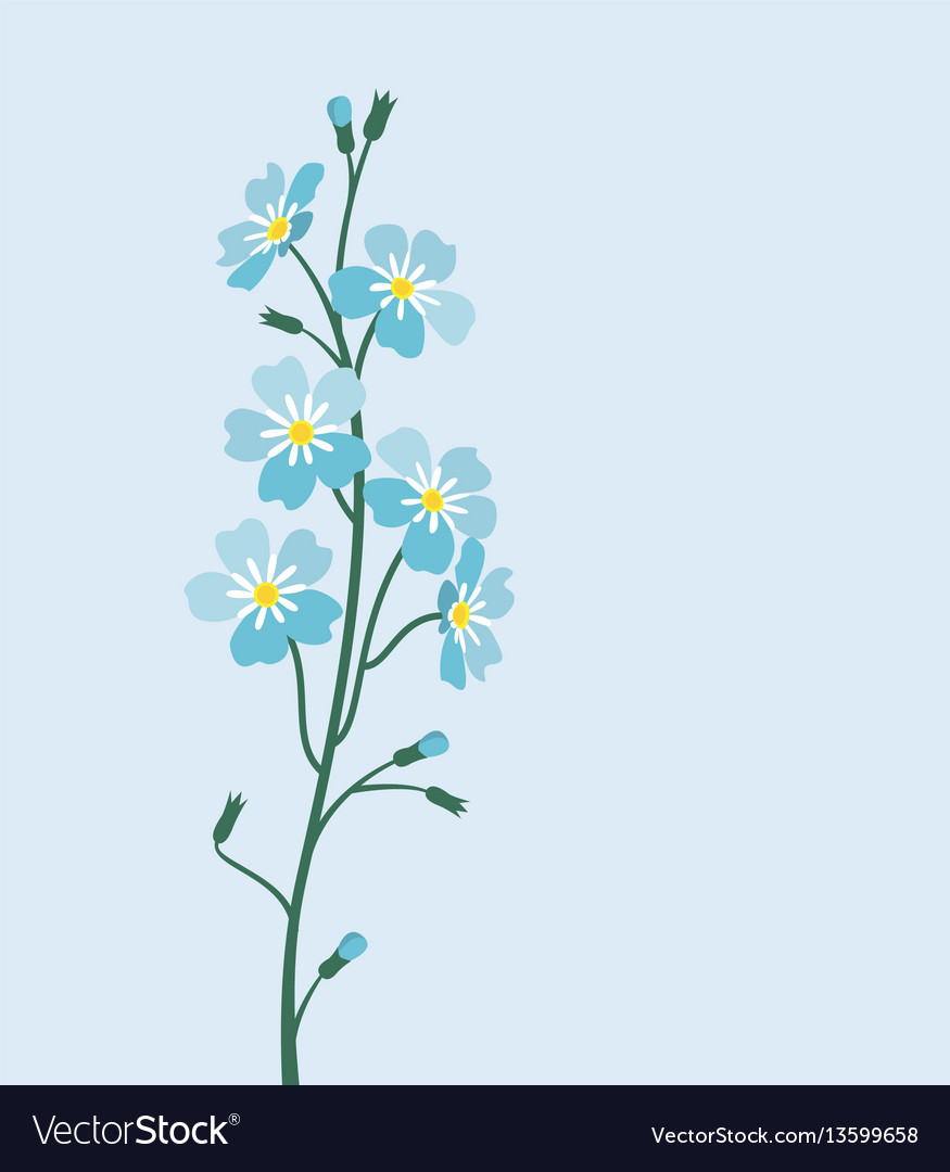 Blue Forget-me-not Flowers. Vector Illustration. Stock Vector -  Illustration of element, decorative: 54473783