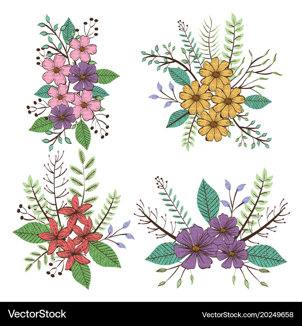 Tropical and exotics flowers leafs Royalty Free Vector Image