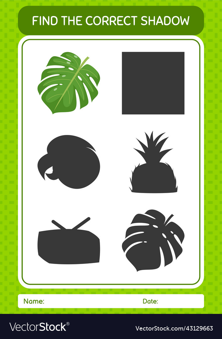 Find the correct shadows game with monstera leaf vector image Find the correct shadows game with monstera leaf