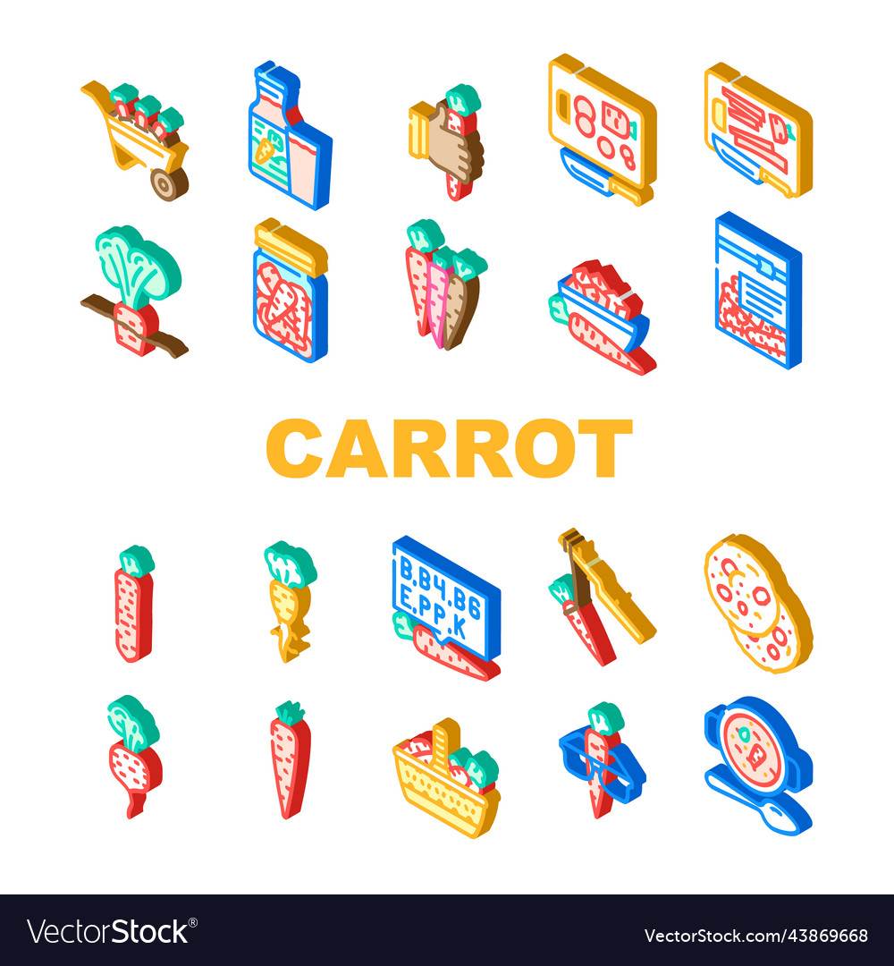 Carrot vegetable orange food icons set