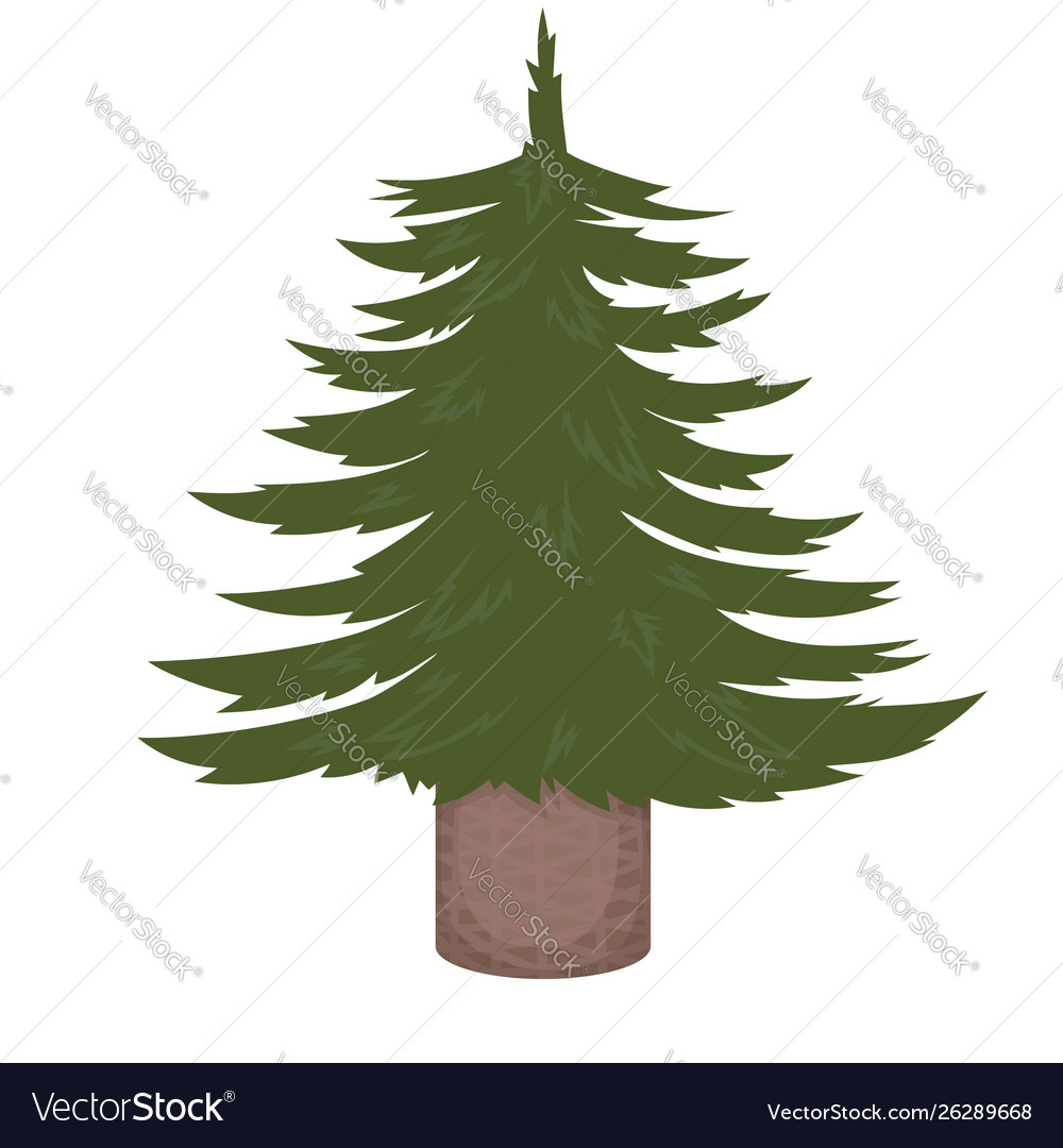 Not decorated christmas tree